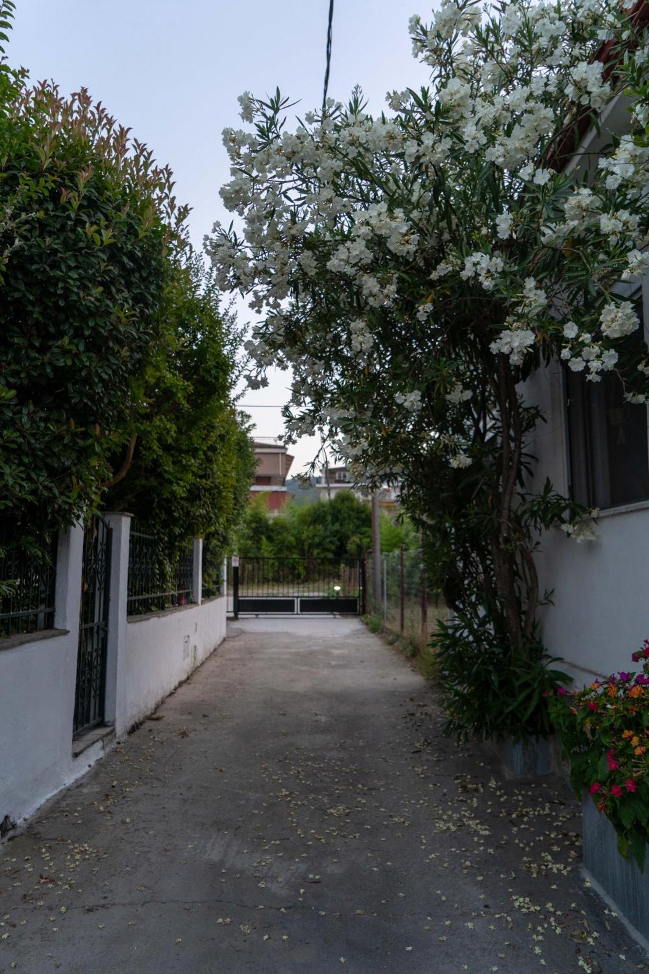 Terrazzo House Villa Platamonas Luaran gambar